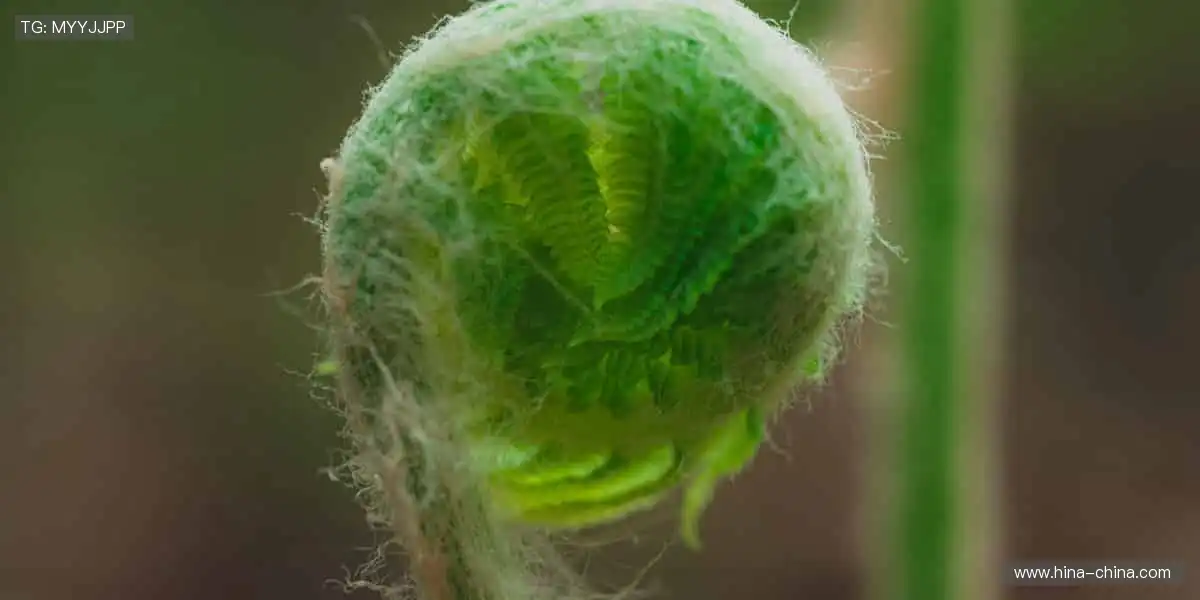 📢一键订阅，精彩赛事永不缺席，热血与你同在！❤️